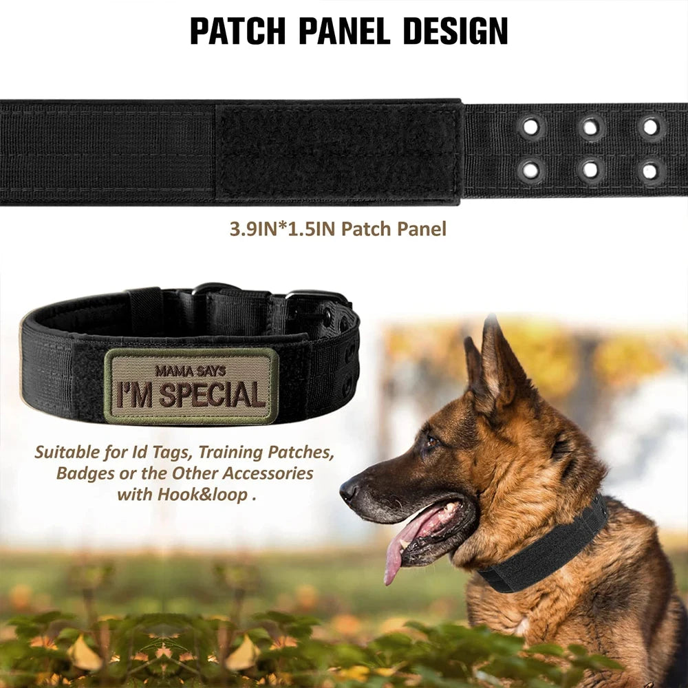 Adjustable Military Dog Collar Metal D-Ring and Buckle Working Dog Collar, Five-Level Adjustment for Medium and Large Dogs