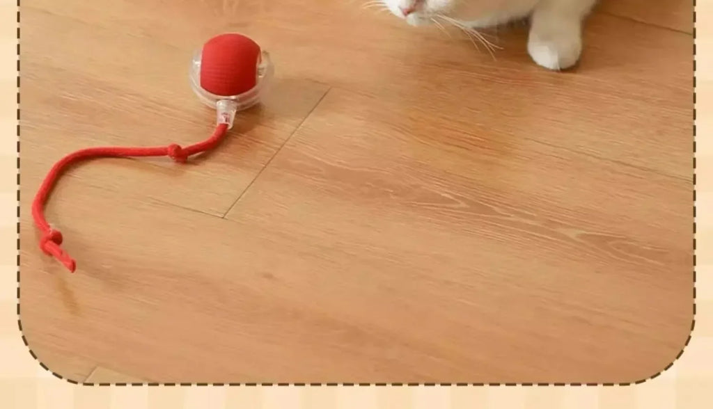 Smart Obstacle Avoidance Cat Ball Toy Adjustable Speed Electric Self Rolling Interactive Ball With Long Elastic Rope For Play