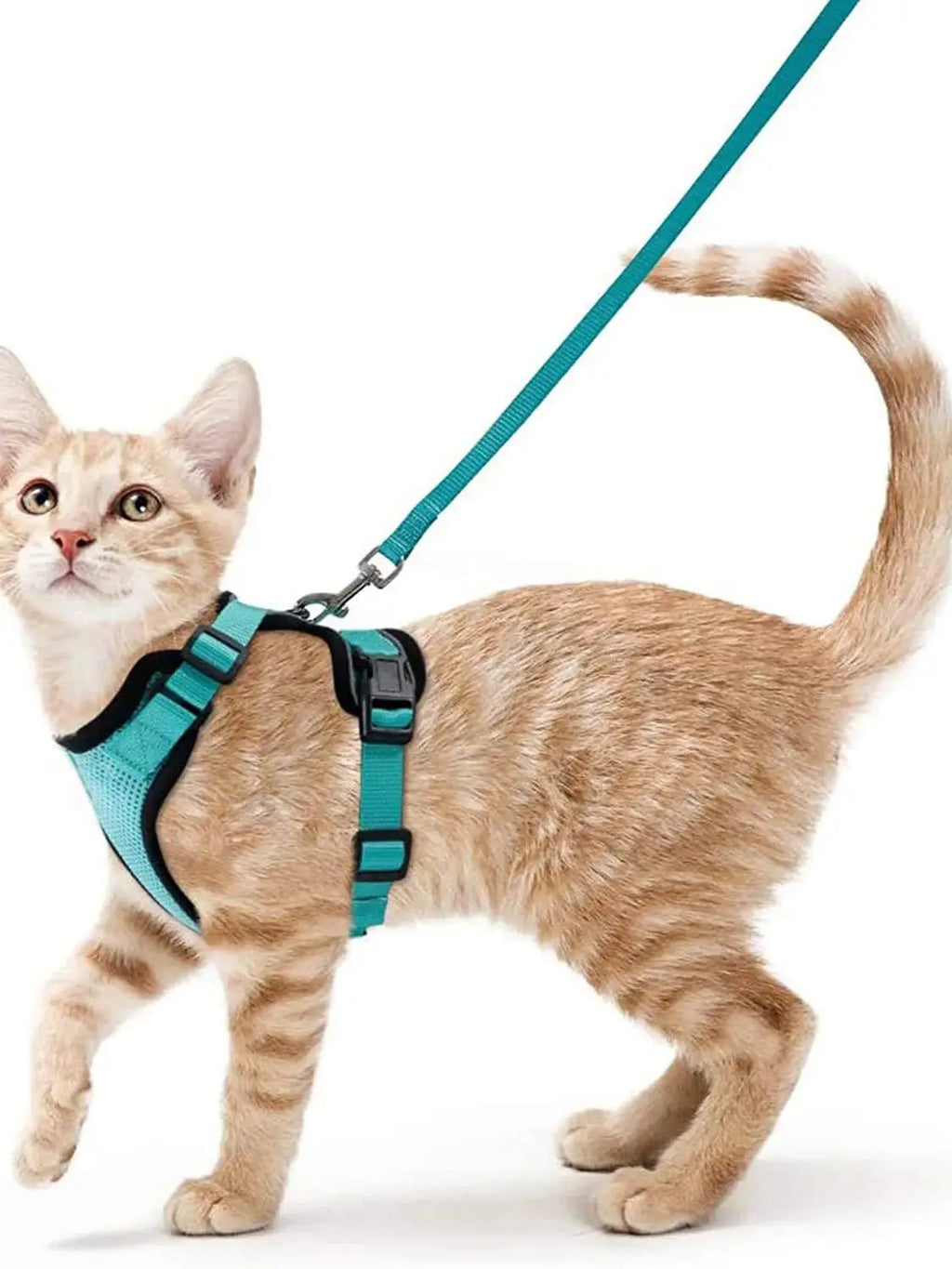 Cat Harness and Leash Set – Adjustable Vest for Walking