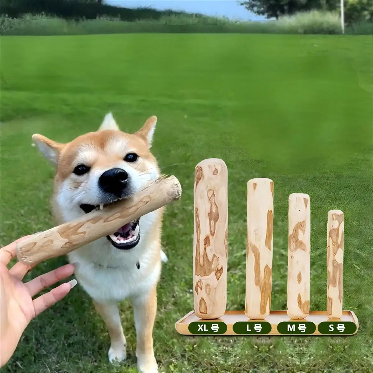 Wood Dog Chew Toy Natural Coffee Wood Chew Stick