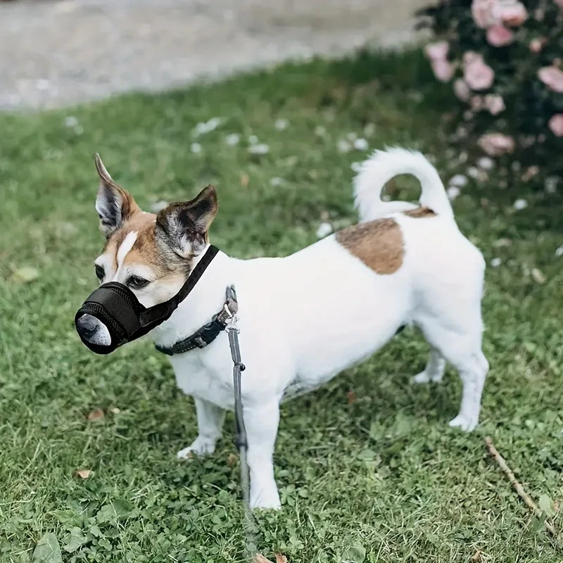 Dog Muzzle Breathable Adjustable Mouth Cover for Dogs