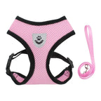 Cat Harness and Leash