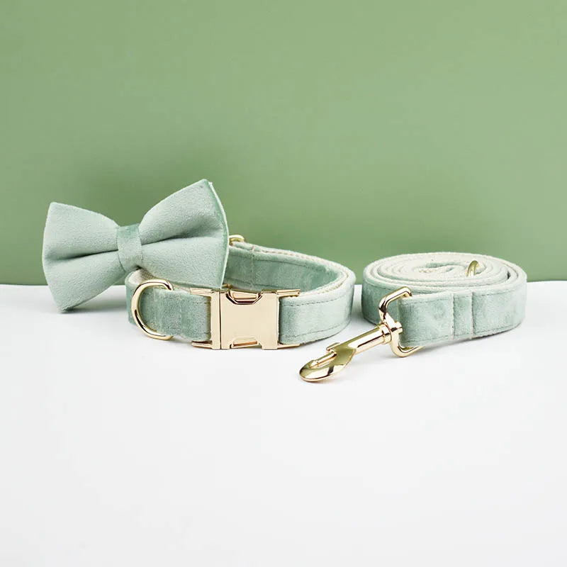 Dog Collar and Leash Set, Adjustable Velvet Collar with Gold Detail