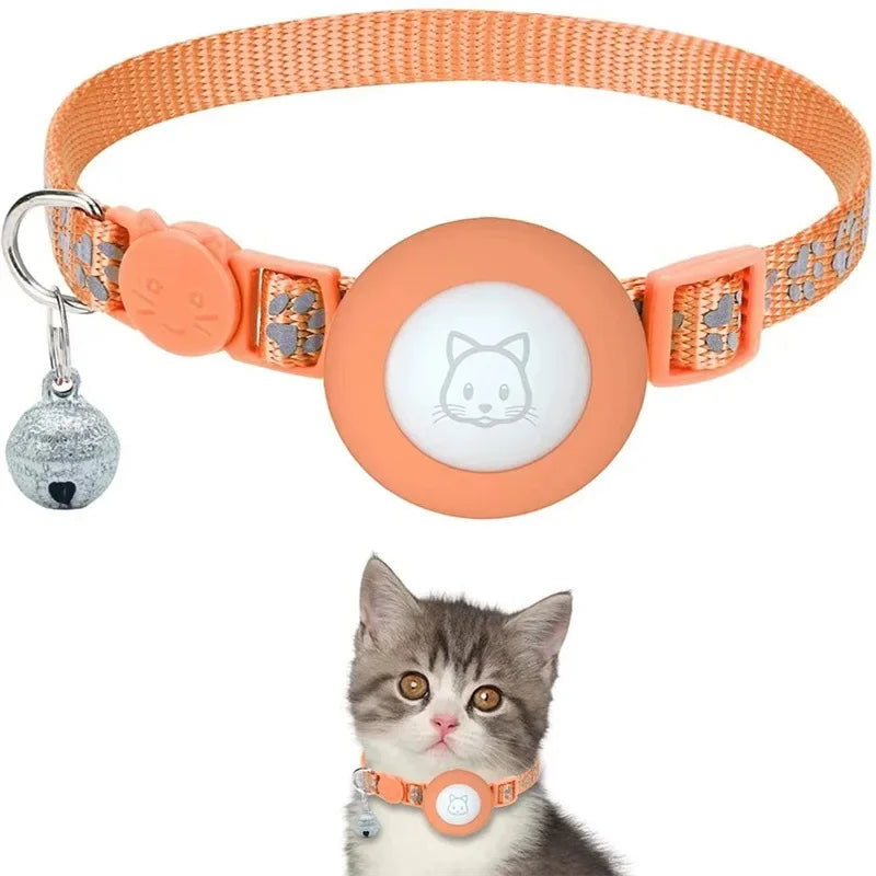 at Collar with AirTag Holder