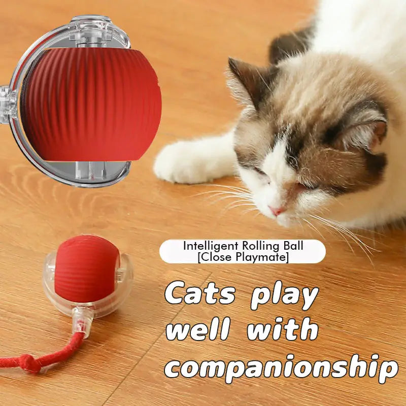 Interactive Cat Ball Toy – Rechargeable Automatic Rolling Toy