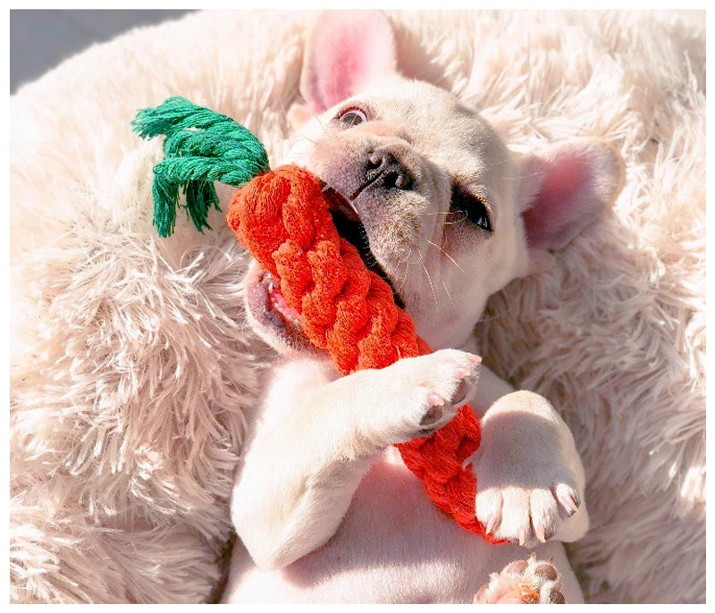 Dog Rope Toy – Carrot Shape Cotton Chew Toy