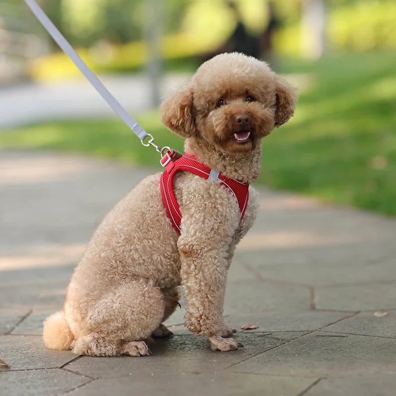 Small Dog Harness – Adjustable Reflective Vest With Leash