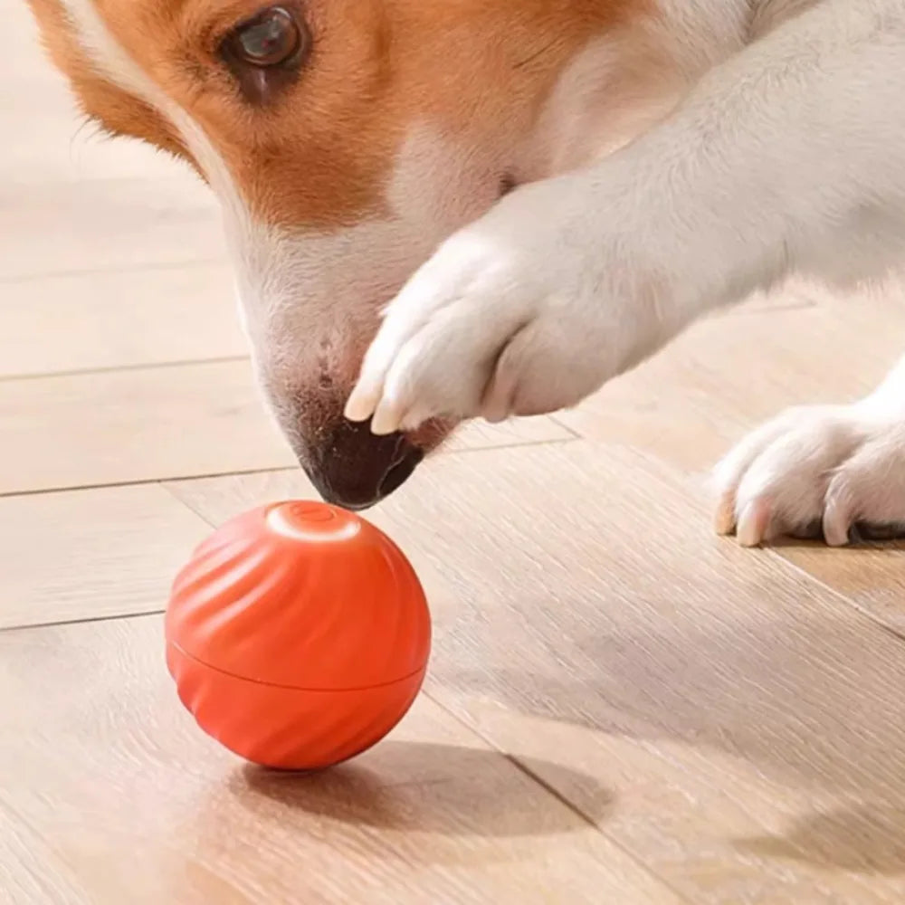 Interactive Dog Ball Toy – Automatic Moving Rechargeable Toy