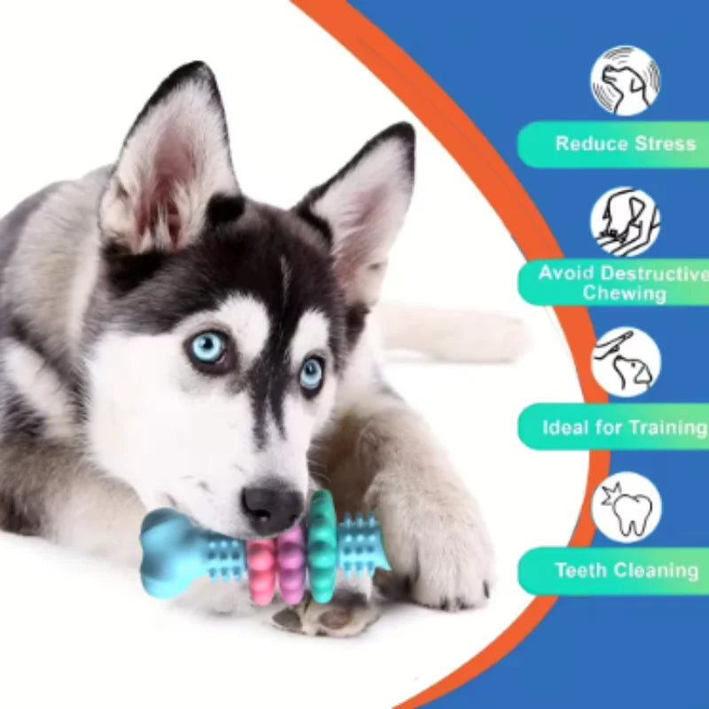 Dog Teething Toy, TPR Chew Stick & Treat Dispensing Toy