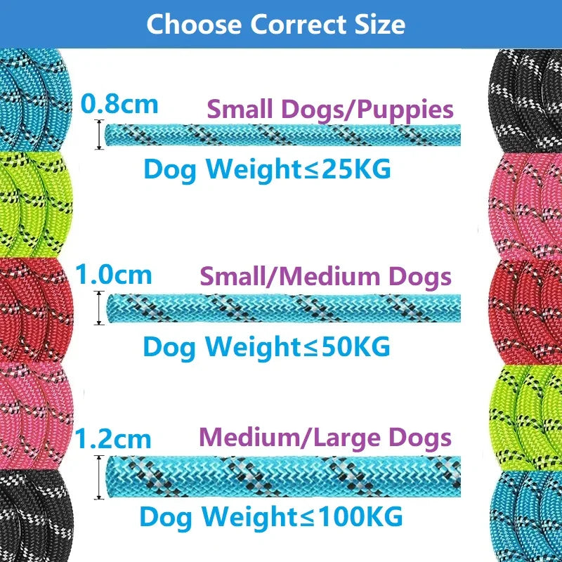 Nylon Dog Leash – Soft Handle Reinforced Lead for Daily Walks