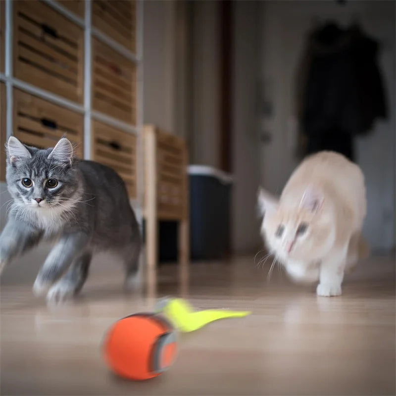 Automatic Interactive Cat Toy Ball – USB Rechargeable Rolling Toy