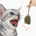Interactive Mouse Cat Toy – Chirping Plush Toy for Kittens