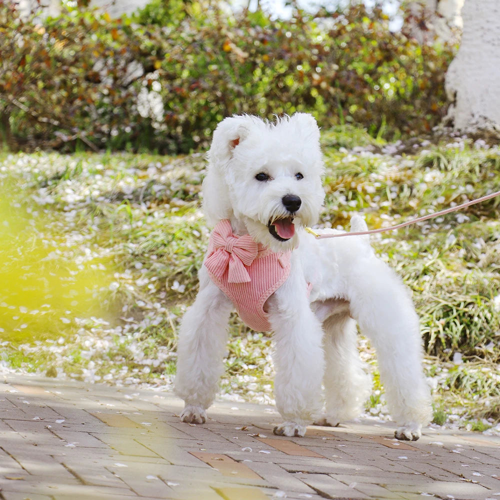 Dog Harness Leash Set, Soft Adjustable Harness & Collar for Small Dogs