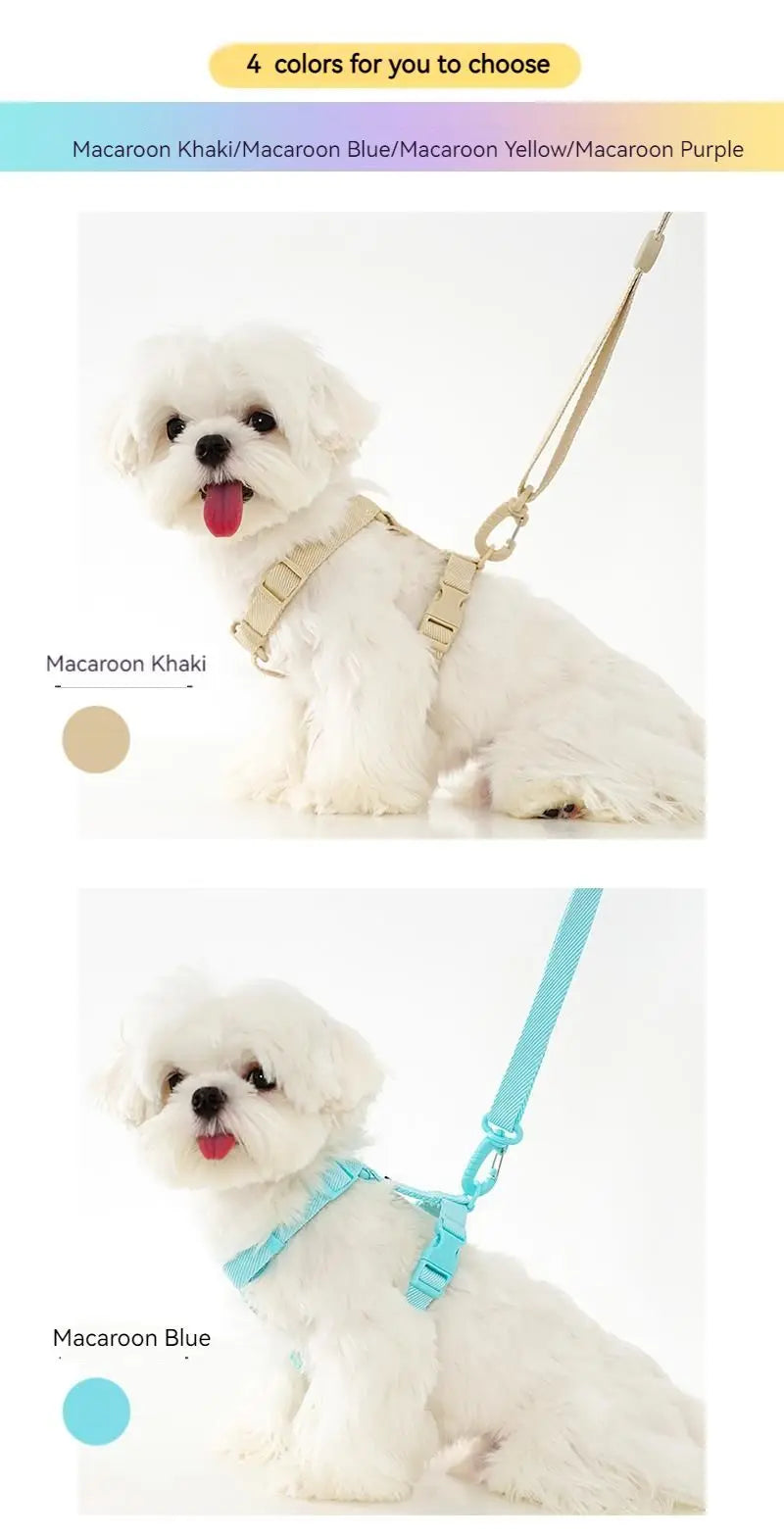Dog Harness and Leash Set