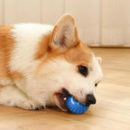 Interactive Dog Toy – Automatic Moving USB Ball for Dogs