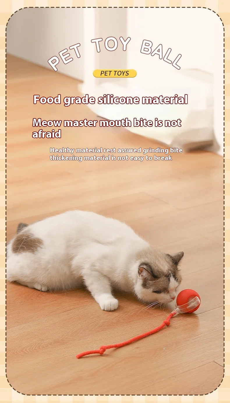 Automatic Cat Ball Toy – Rechargeable Interactive Rolling Ball