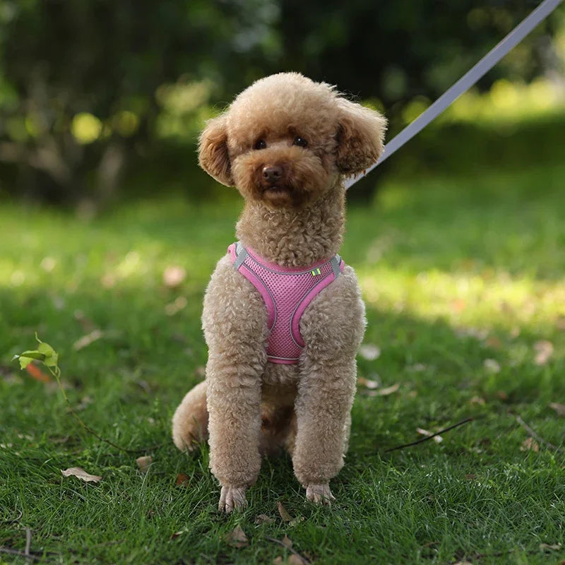 Small Dog Harness – Adjustable Reflective Vest With Leash