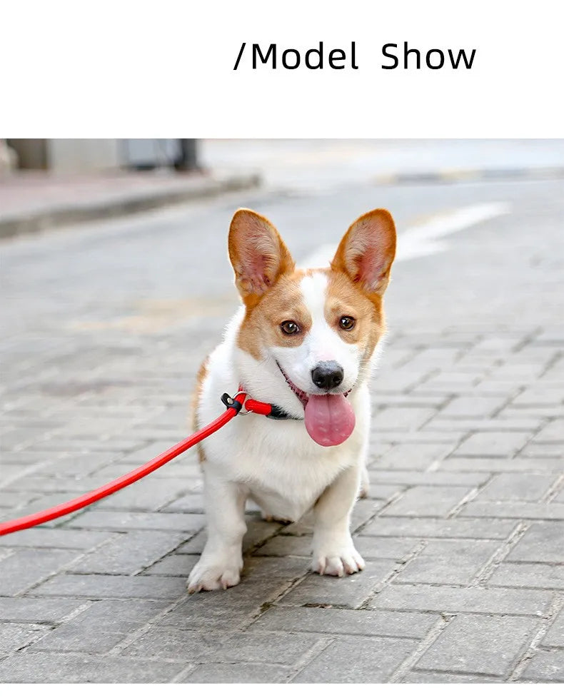 Dog Training Collar – Adjustable Nylon Collar for Walking & Training
