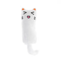 Catnip Cat Toy Plush Rustle Sound Toy for Kittens & Cats