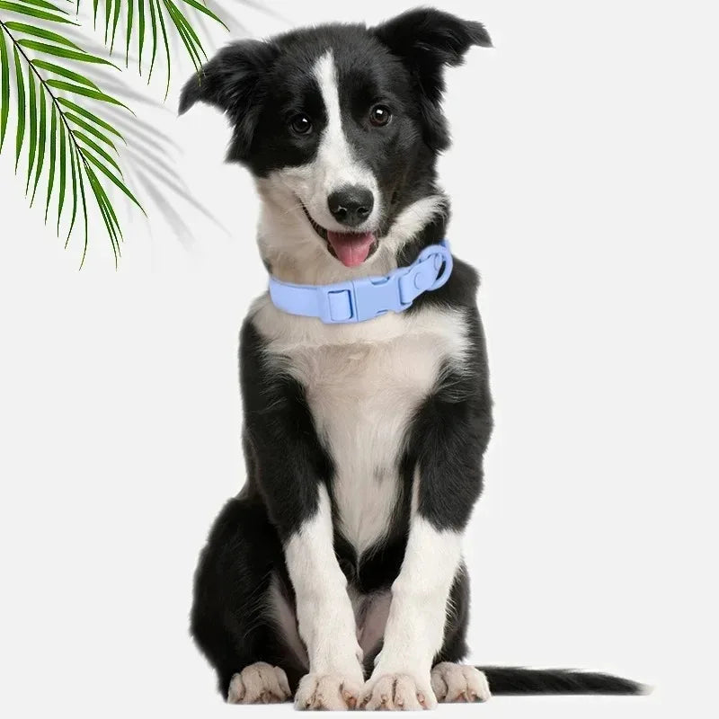 PVC Dog Collar Waterproof Adjustable Breakaway Easy Clean