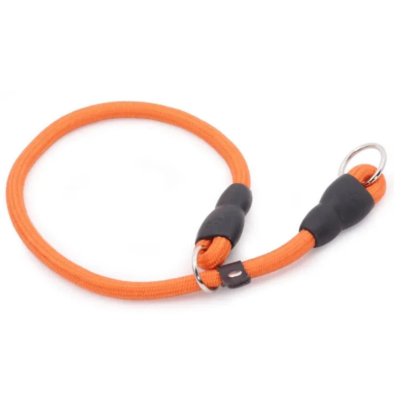 Dog Training Collar – Adjustable Nylon Collar for Walking & Training