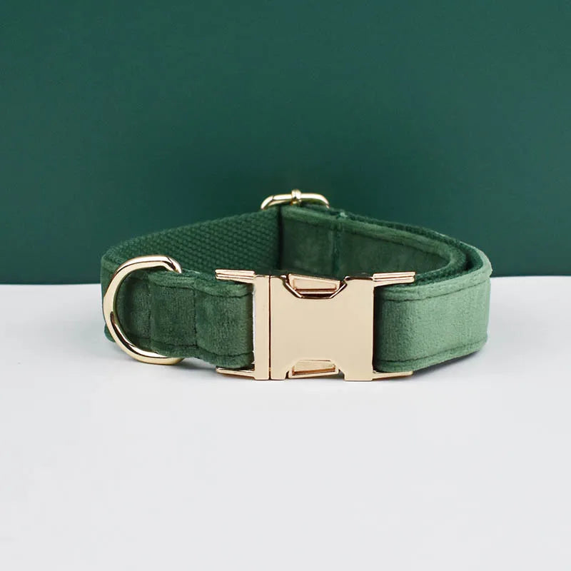 Dog Collar and Leash Set, Adjustable Velvet Collar with Gold Detail