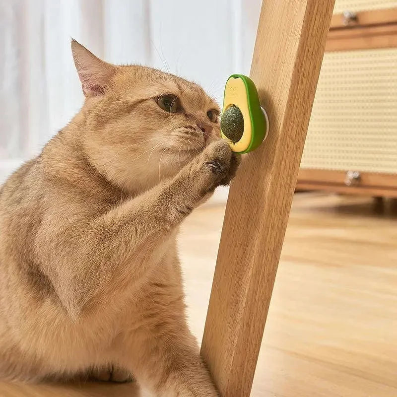 Catnip Ball Cat Toy – Teeth Cleaning & Interactive Dental Toy