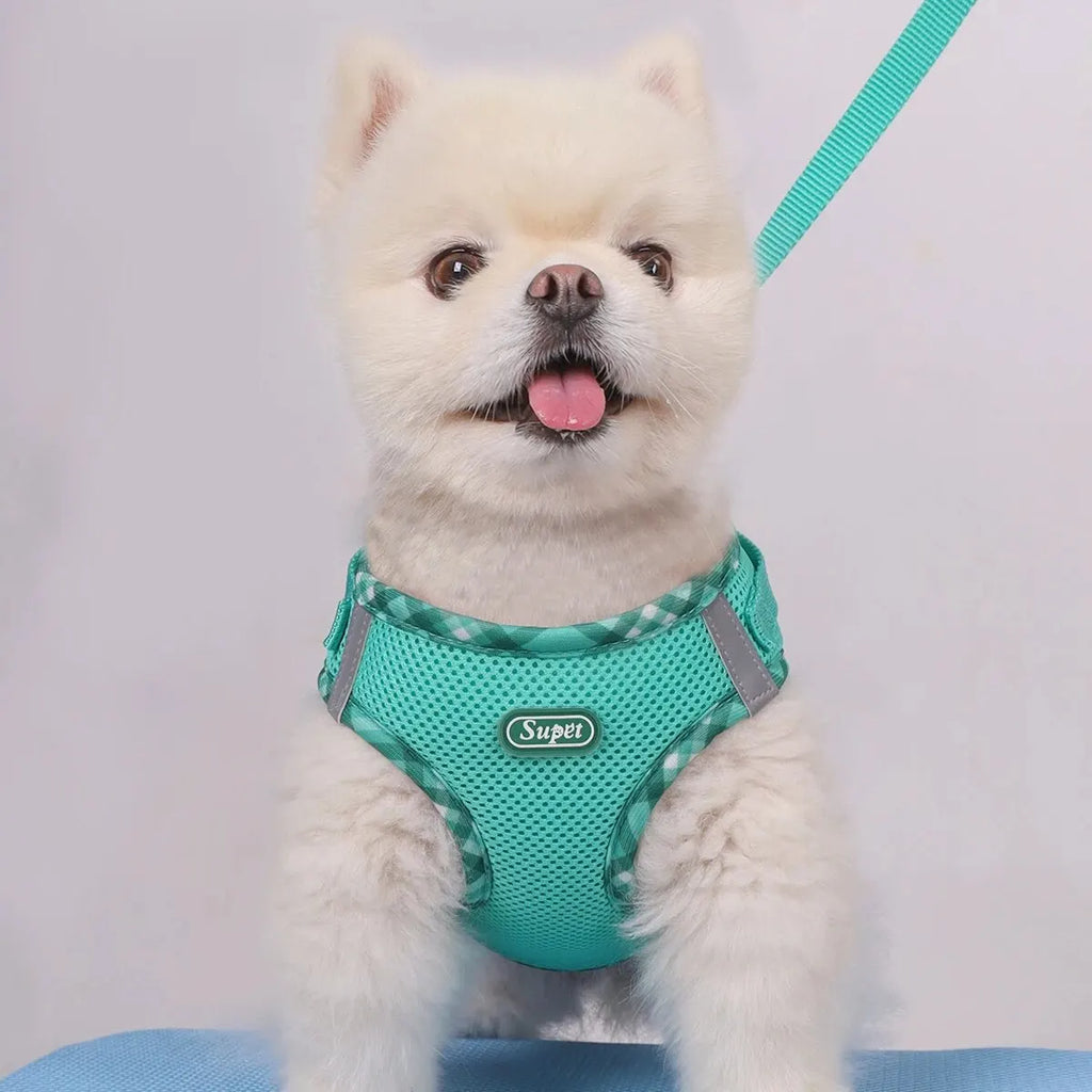 Dog Harness – Adjustable Anti-Pull Harness for Small & Medium Dogs