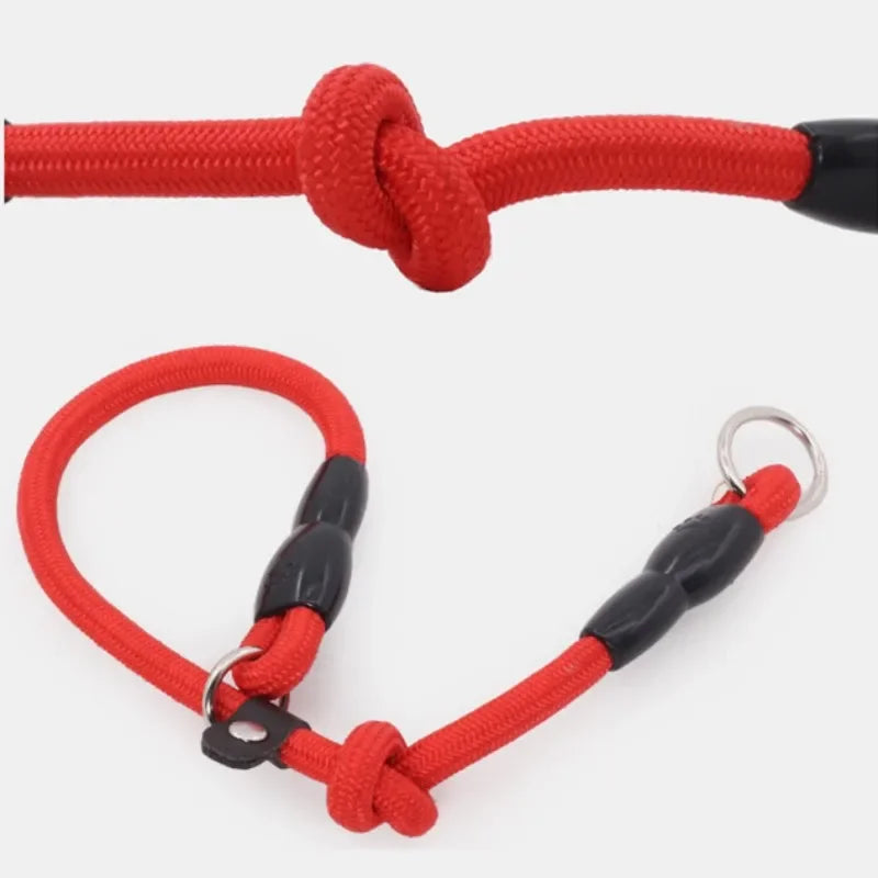 Dog Training Collar – Adjustable Nylon Collar for Walking & Training