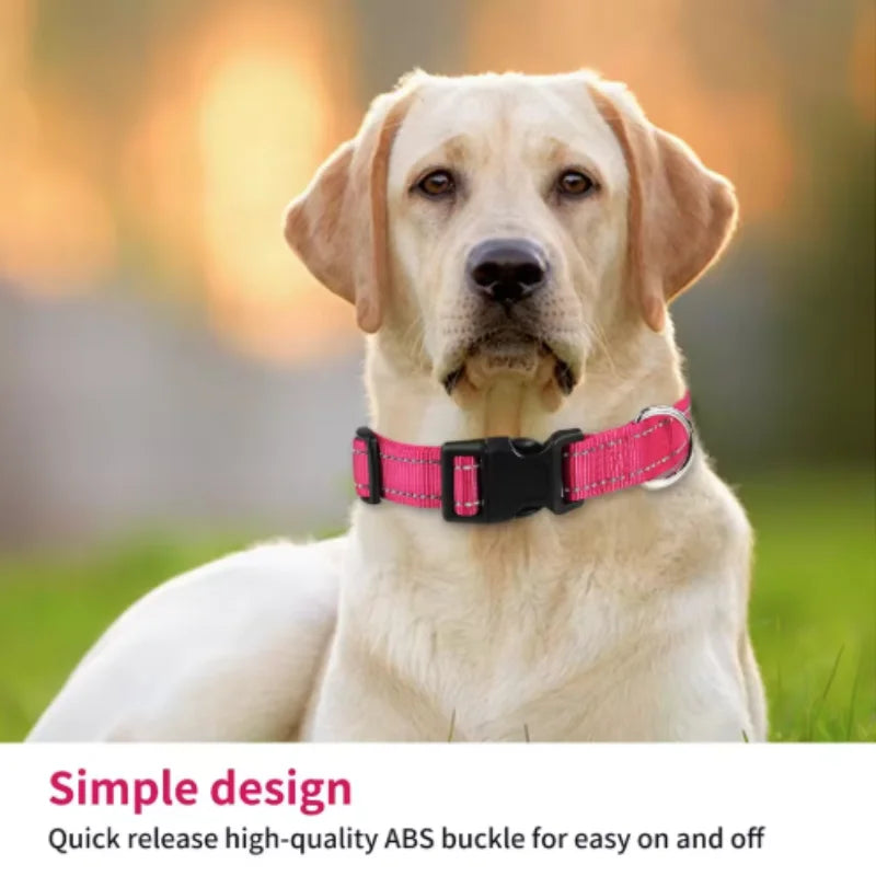 Reflective Dog Collar, Adjustable Nylon Safety Collar for Small & Medium Dogs
