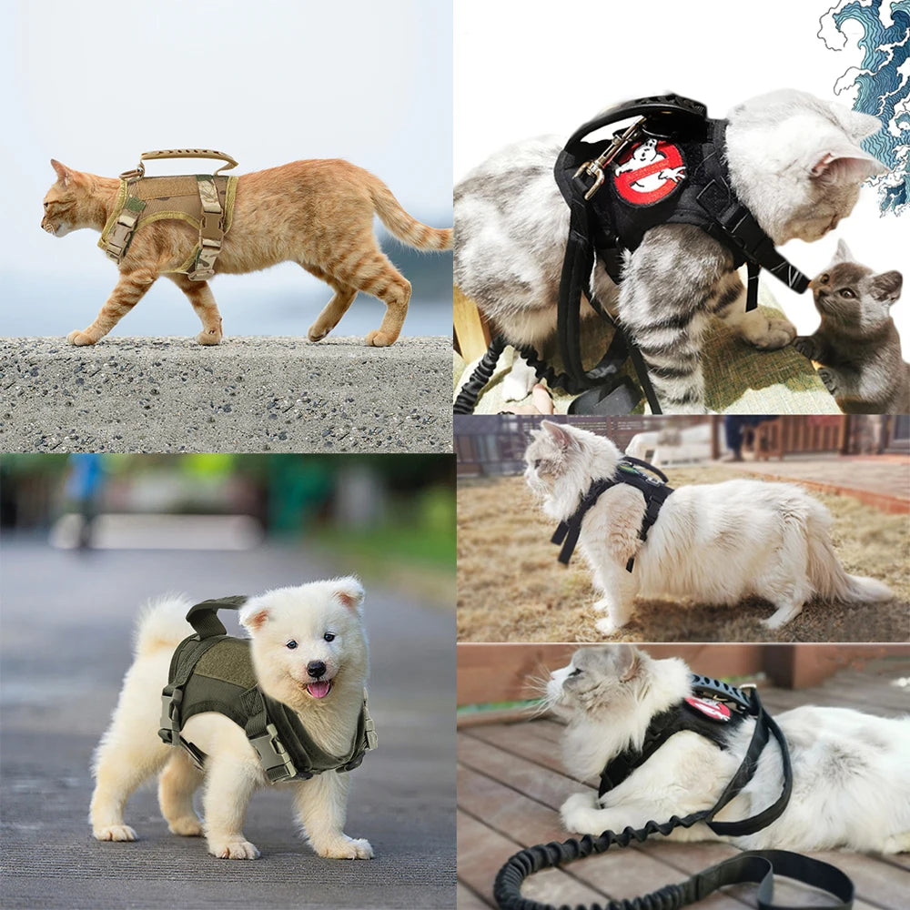 Tactical Cat Harness – Adjustable Soft Mesh Pet Vest