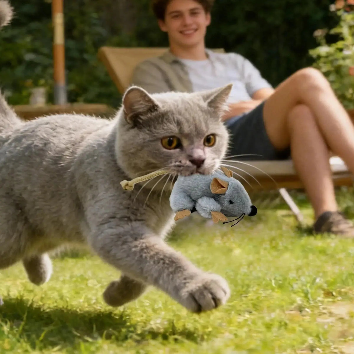 Moving Mouse Cat Toy – Plush Interactive Sound Toy
