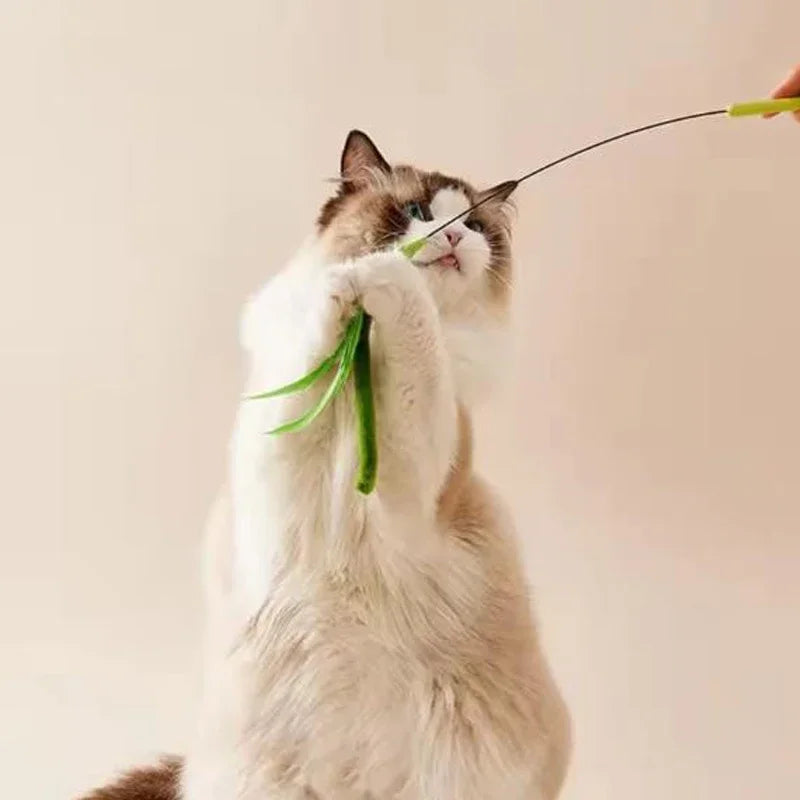 Feather Cat Wand – Flexible Interactive Teaser Toy for Cats