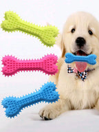 Dog Dental Chew Toy – Rubber Toothbrush Stick for Training