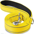 Reflective Dog Leash, Nylon Walking and Training Lead for Night