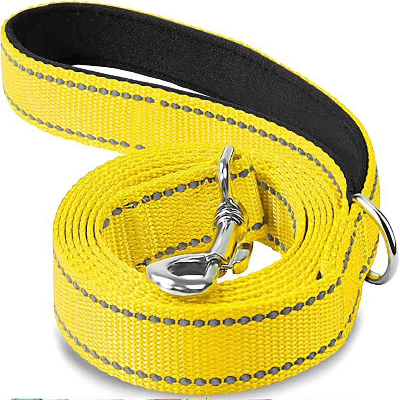 Reflective Dog Leash – Nylon Night Walking & Training Lead