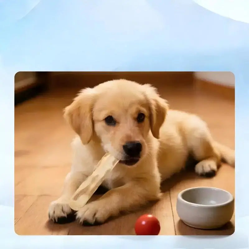 Wood Dog Chew Toy Natural Coffee Wood Chew Stick