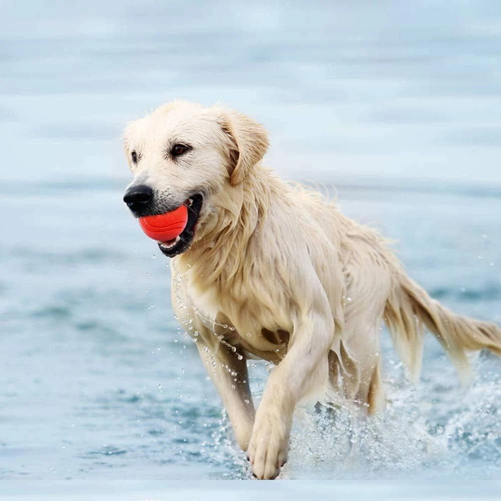 Dog Toy Ball – Rubber Training Ball for Outdoor Play