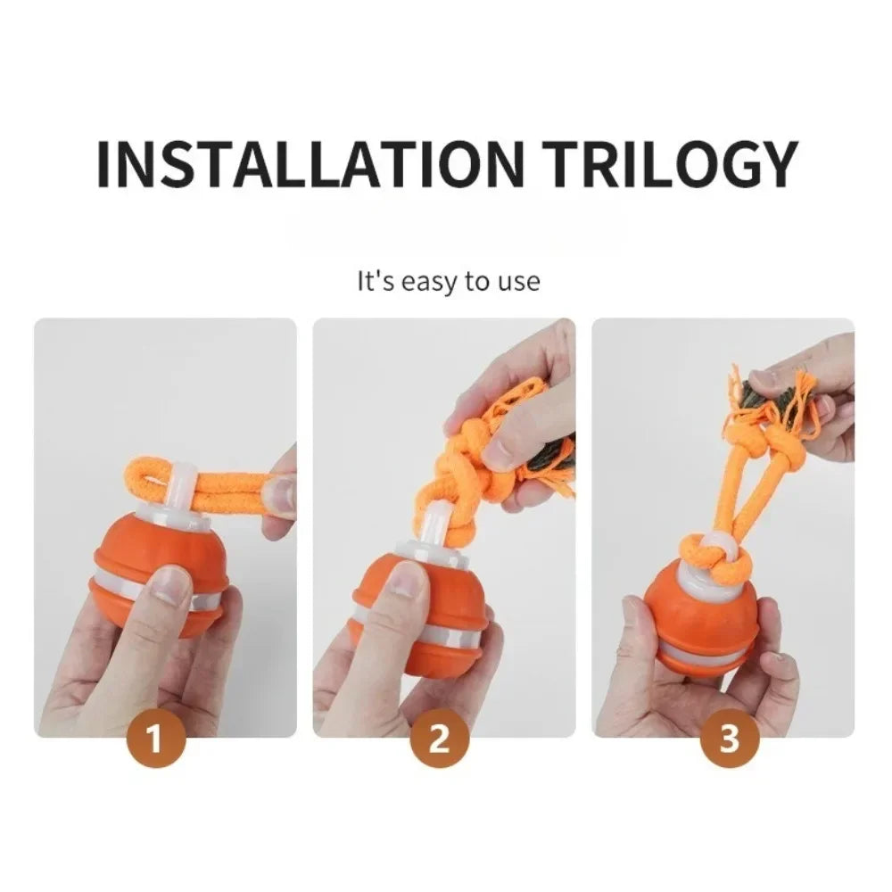 Interactive Dog Ball – Motion Activated Rolling Toy for Dogs