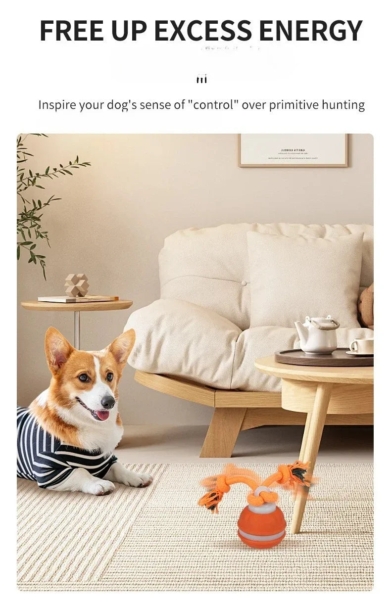 Interactive Dog Ball – Motion Activated Rolling Toy for Dogs