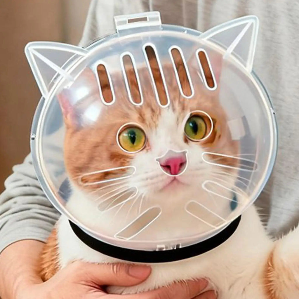 Cat Bubble Muzzle Breathable Sturdy Muzzle Mask Cat Head Cover Space Hood  Protective Helmet Anti-bite Pet Grooming Supplies