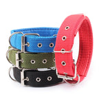 Nylon Dog Collar – Solid Breakaway Collar for All Sizes