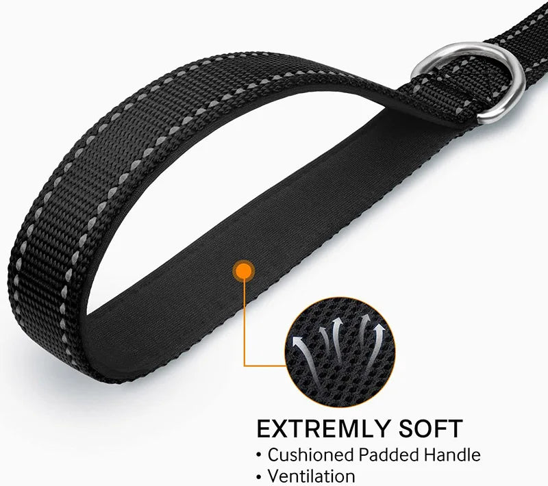 Reflective Dog Leash – Nylon Night Walking & Training Lead