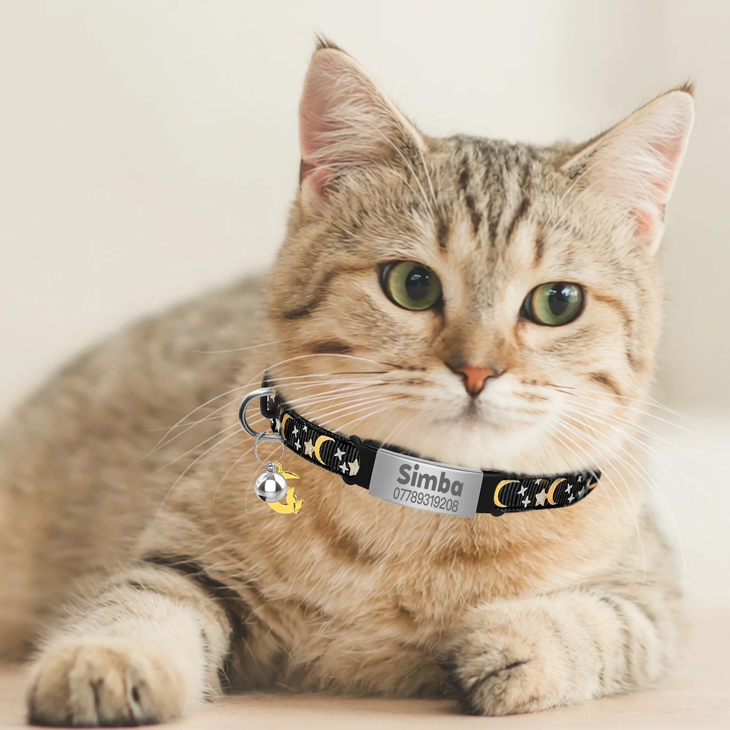 Personalized Cat Collar with Engraved ID Tag, Bell & Glow Design