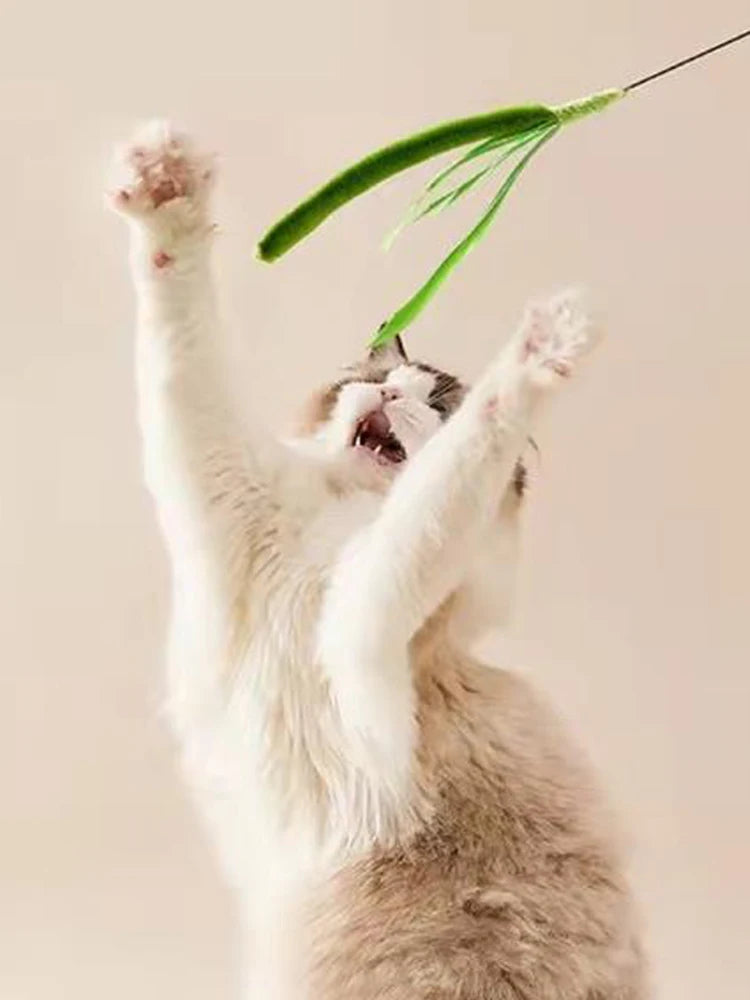 Feather Cat Wand – Flexible Interactive Teaser Toy for Cats
