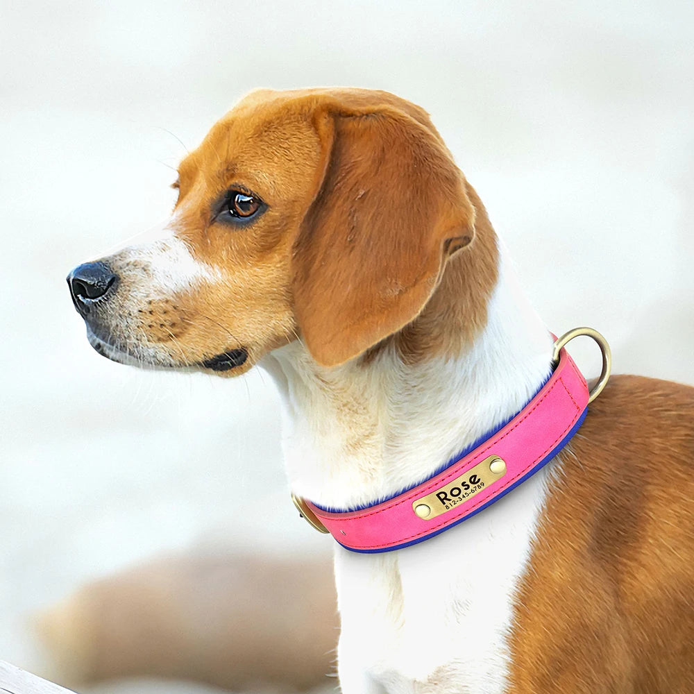 Personalized Dog Collar, Adjustable Padded PU Leather Collar