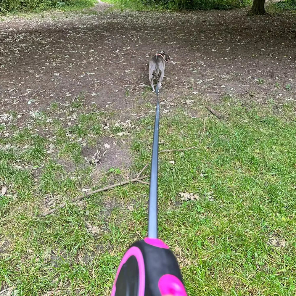 8m –Retractable Dog Leash