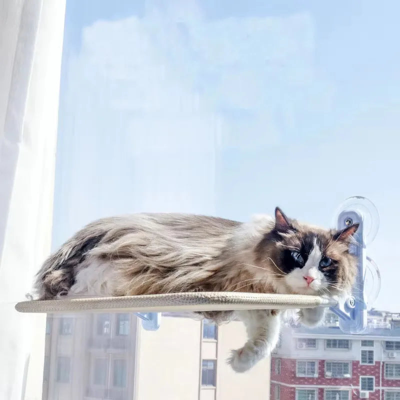 Cat Window Hammock – Foldable Suction Cup Hanging Cat Bed