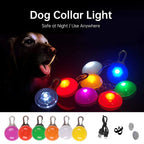 Rechargeable Dog Collar Light – LED Pet Safety Pendant