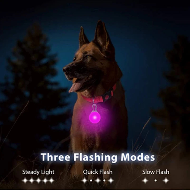 LED Dog Collar Light – Colorful Flashing Pet Safety Light